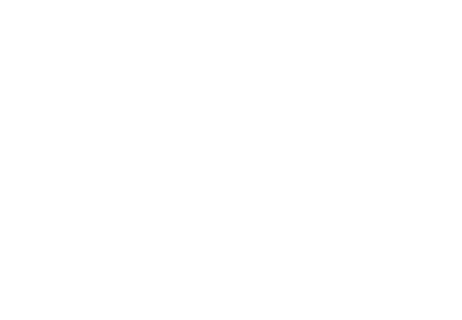 Borsato Interior Logo